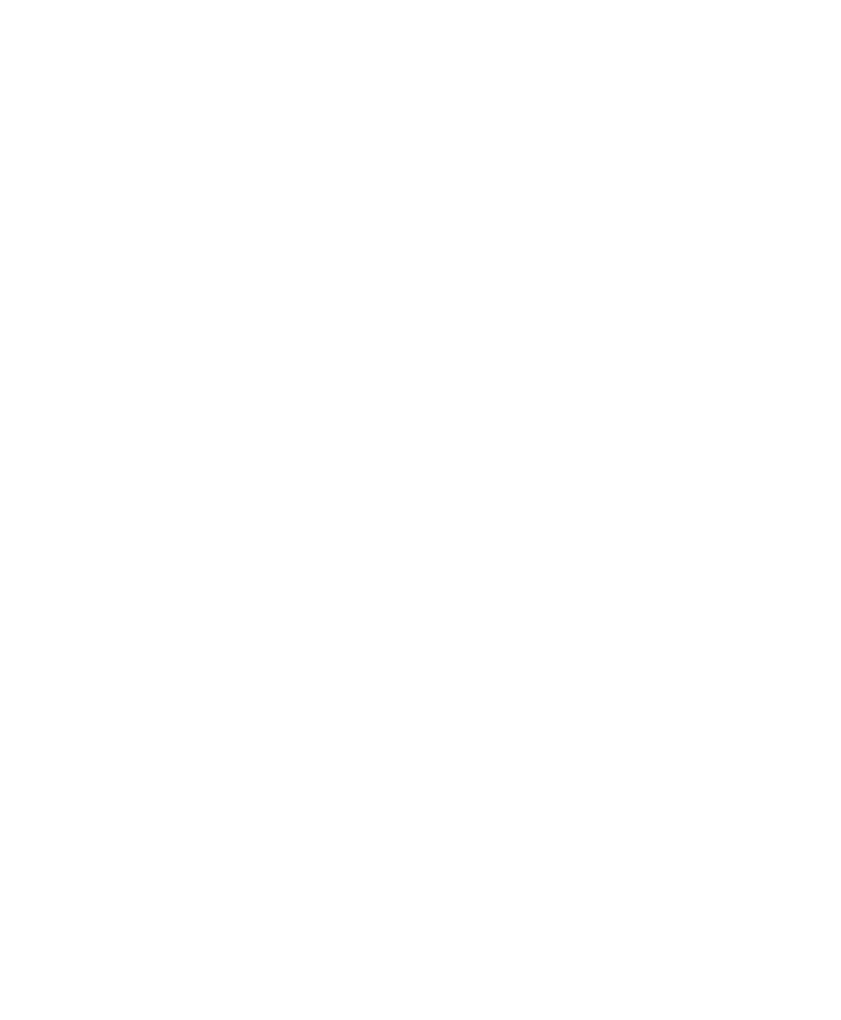 Schutte Administratie & Advies - logo kruis